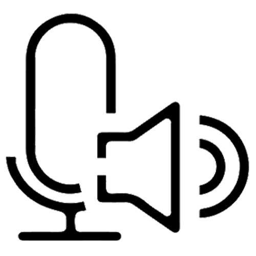 Двусторонняя голосовая связь